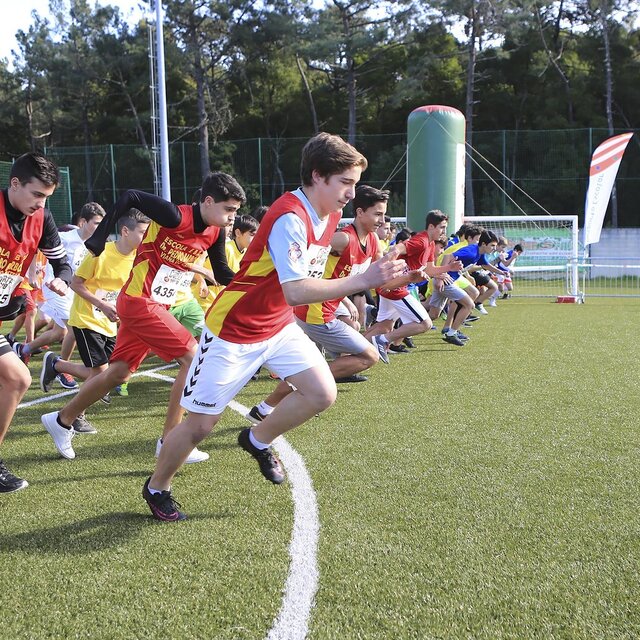 Educacao  4  1 640 640